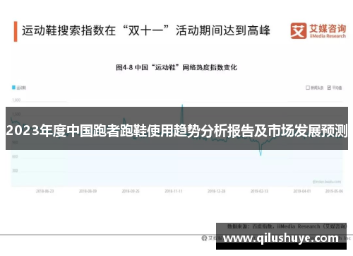 2023年度中国跑者跑鞋使用趋势分析报告及市场发展预测